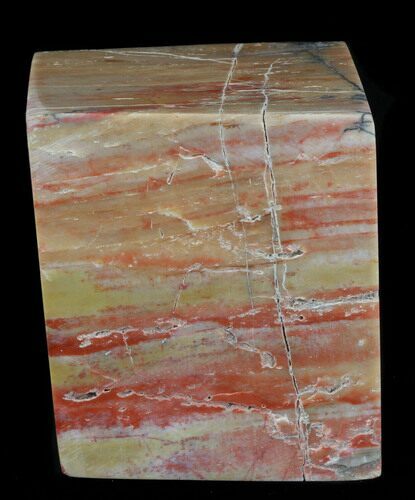 Jurassic Polished Petrified Wood Block - Henry Mountain #38551